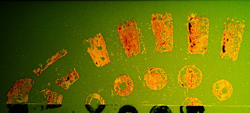 Hungarian Red - Czerwień węgierska - obrazek 2