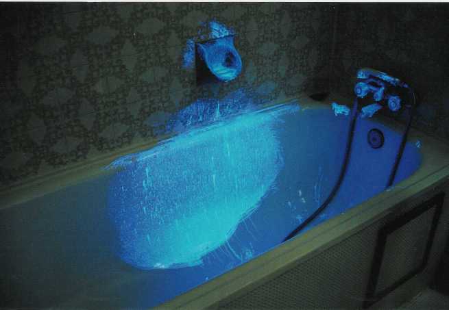 BLUESTAR FORENSIC - obrazek 3