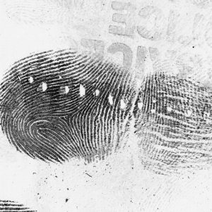 Folia żelatynowa na gumie czarna 13cm x 18 cm/10 szt.