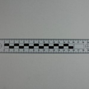 Linijka dowodowa plastikowa, 20 cm, dwustronna