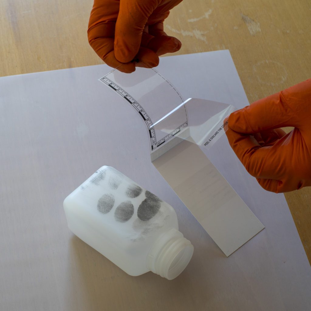 Folia pozytywowa z podkładką kontrastową białą i ze skalą, 5x6cm/25 szt. - obrazek 2