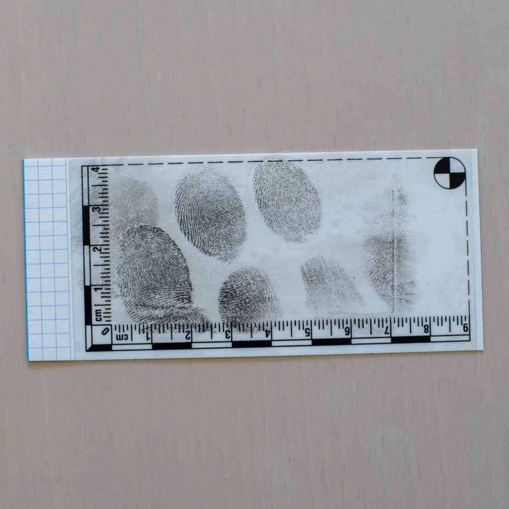 Folia pozytywowa z podkładką kontrastową białą i ze skalą, 5x6cm/25 szt. - obrazek 7